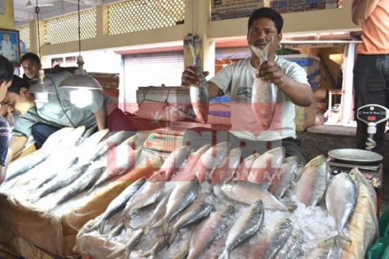 Tripura gears up to celebrate Bengali New Year : Bangladesh exported Hilsa fish price records above Rs. 1200/- amidst formalin threat